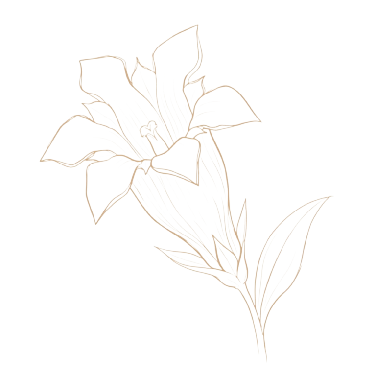 Ferienwohnung-Enzian-Haus-am-Wiesbach-logo-illustration-reit-im-winkl-chiemgau Handgezeichnete Enzian-Blume als Symbol für die Ferienwohnung Enzian im Haus am Wiesbach in Reit im Winkl, Bayern.