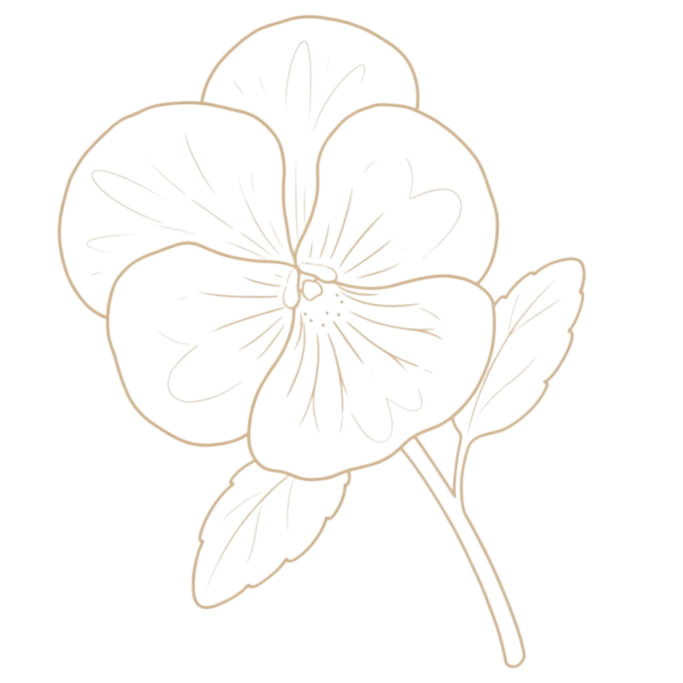 Ferienwohnung-Haus-am-wiesbach-logo-illustration-reit-im-winkl-chiemgau Handgezeichnete Bergveilchen Blume als Symbol für die Ferienwohnung Bergveilchen im Haus am Wiesbach in Reit im Winkl, Bayern.