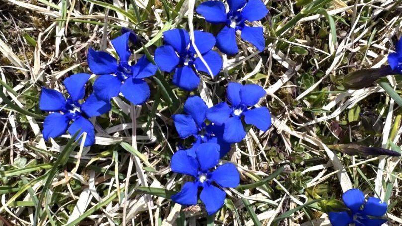 Entdecke Wanderweg in Reit im Winkl im April bis Juni.
