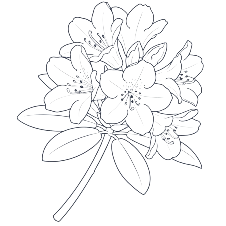 ferienwohnung-Alpenrose-logo-illustration-reit-im-winkl-chiemgau Handgezeichnete Enzian-Blume als Symbol für die Ferienwohnung Enzian im Haus am Wiesbach in Reit im Winkl, Bayern.